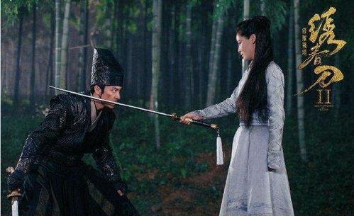 绣春刀2在线视频,暗夜风云再起——江湖恩怨，刀光剑影下的生死较量